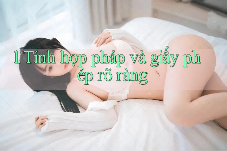 1. Tính hợp pháp và giấy phép rõ ràng 1. Tính hợp pháp và giấy phép rõ ràng
