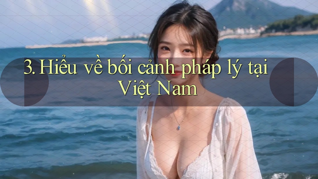 3. Hiểu về bối cảnh pháp lý tại Việt Nam 3. Hiểu về bối cảnh pháp lý tại Việt Nam
