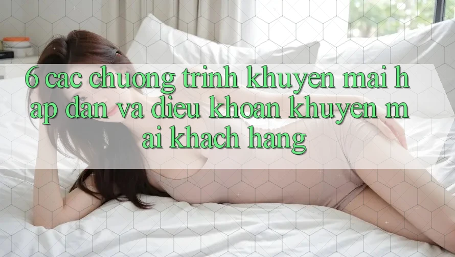 6. Các chương trình khuyến mãi hấp dẫn và điều khoản khuyến mãi khách hàng