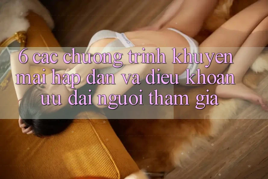 6. Các chương trình khuyến mãi hấp dẫn và điều khoản ưu đãi người tham gia 6. Các chương trình khuyến mãi hấp dẫn và điều khoản ưu đãi người tham gia