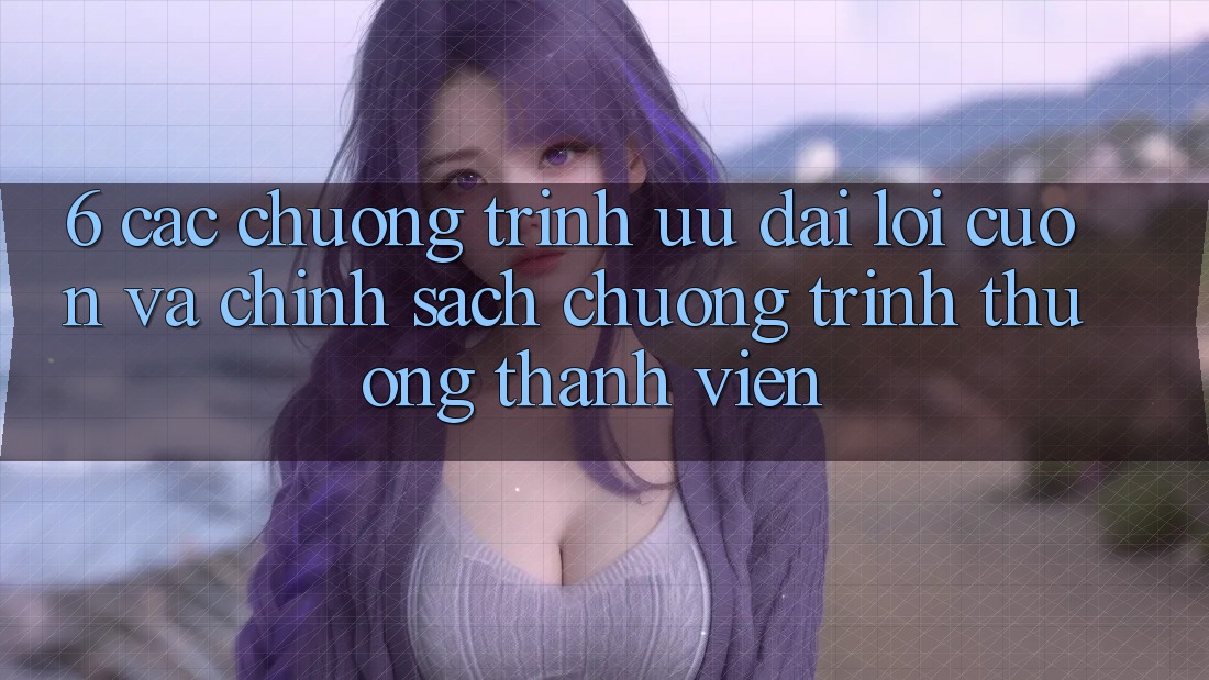 6. Các chương trình ưu đãi lôi cuốn và chính sách chương trình thưởng thành viên 6. Các chương trình ưu đãi lôi cuốn và chính sách chương trình thưởng thành viên