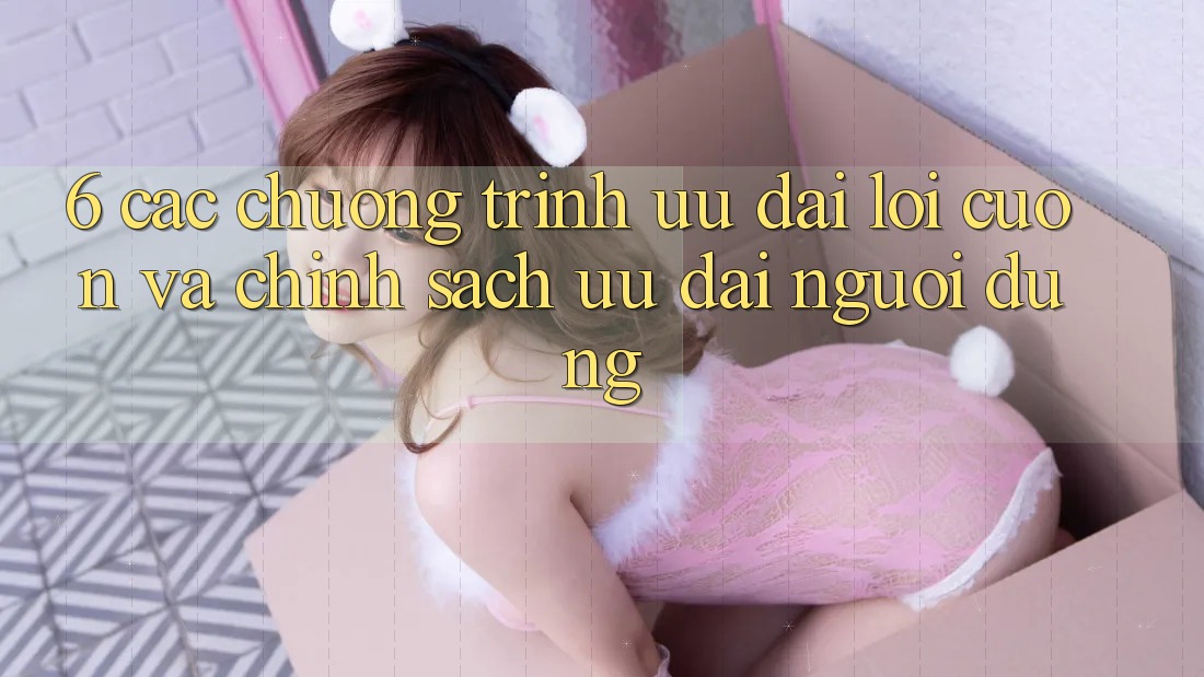 6. Các chương trình ưu đãi lôi cuốn và chính sách ưu đãi người dùng