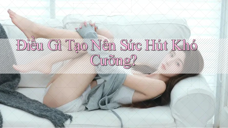 Điều gì tạo nên sức hút khó cưỡng? Điều gì tạo nên sức hút khó cưỡng?