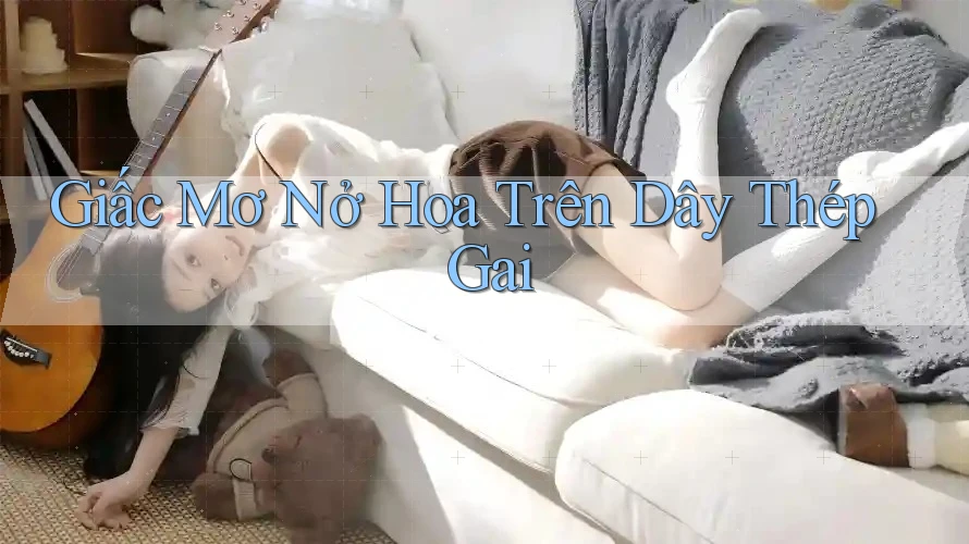 Giấc Mơ Nở Hoa Trên Dây Thép Gai