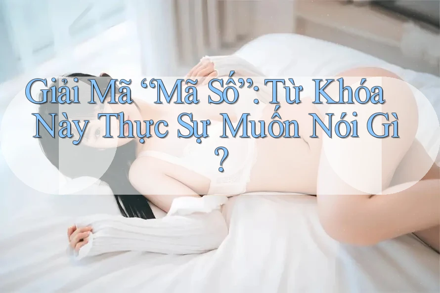 Giải Mã “Mã Số”: Từ Khóa Này Thực Sự Muốn Nói Gì?