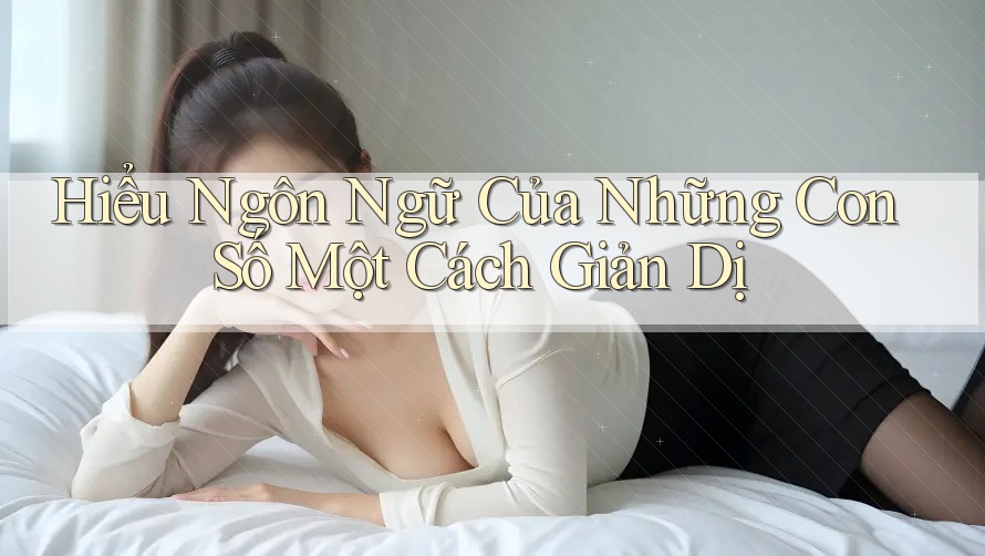 Hiểu Ngôn Ngữ Của Những Con Số Một Cách Giản Dị