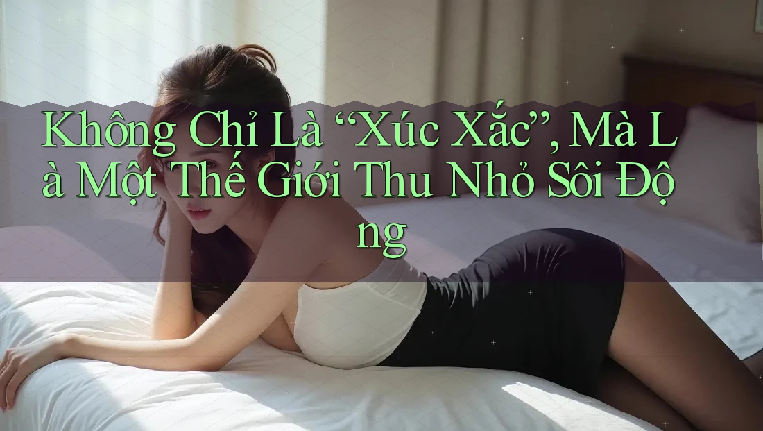 Không Chỉ Là “Xúc Xắc”, Mà Là Một Thế Giới Thu Nhỏ Sôi Động