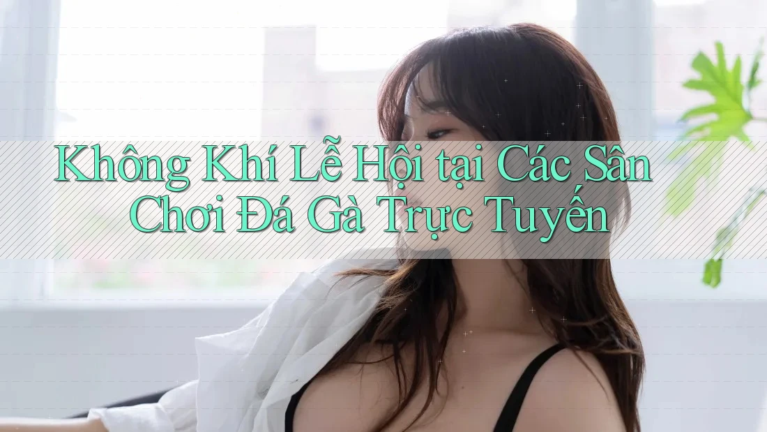 Không Khí Lễ Hội tại Các Sân Chơi Đá Gà Trực Tuyến Không Khí Lễ Hội tại Các Sân Chơi Đá Gà Trực Tuyến