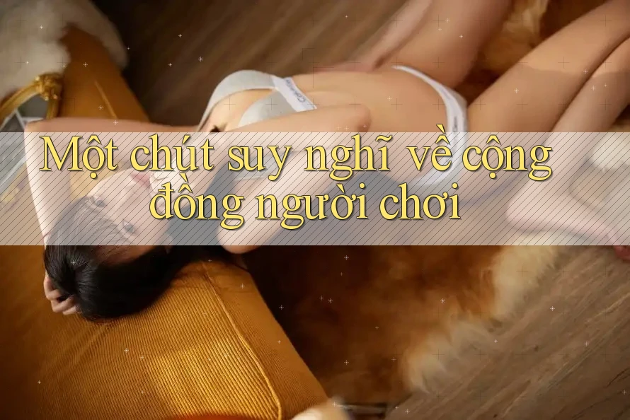 Một chút suy nghĩ về cộng đồng người chơi
