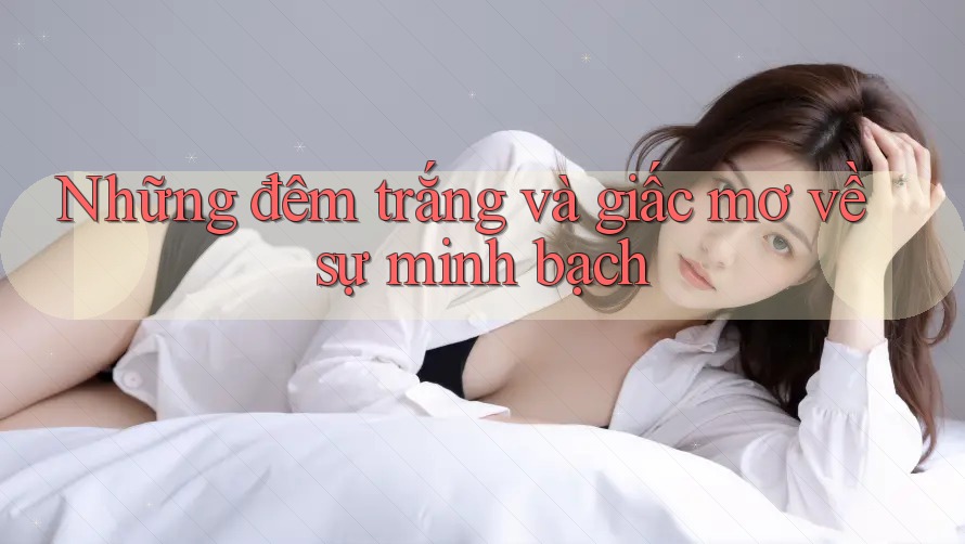 Những đêm trắng và giấc mơ về sự minh bạch Những đêm trắng và giấc mơ về sự minh bạch