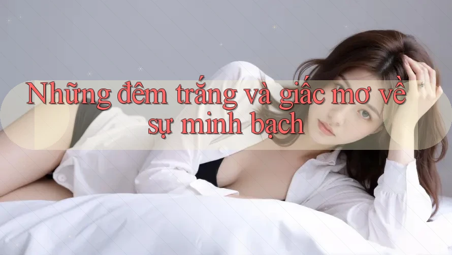 Những đêm trắng và giấc mơ về sự minh bạch