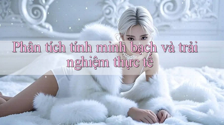Phân tích tính minh bạch và trải nghiệm thực tế Phân tích tính minh bạch và trải nghiệm thực tế