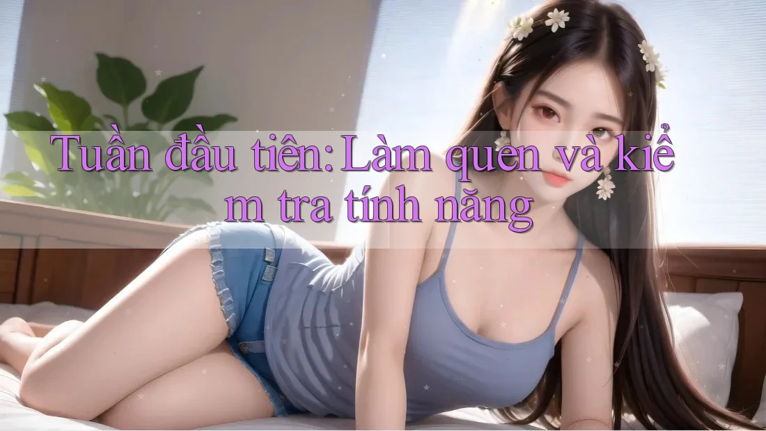 Tuần đầu tiên: Làm quen và kiểm tra tính năng