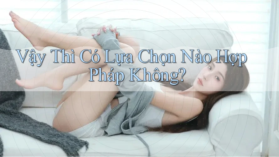 Vậy Thì Có Lựa Chọn Nào Hợp Pháp Không? Vậy Thì Có Lựa Chọn Nào Hợp Pháp Không?